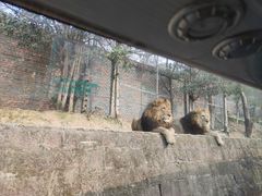 -乐和乐都主题乐园