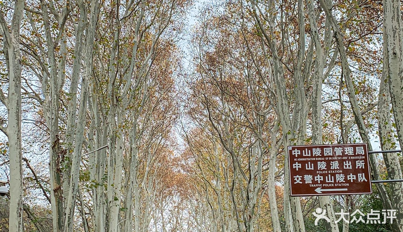 带爸妈来吃被夸了一个月的湖景淮扬菜，超美！