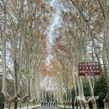 带爸妈来吃被夸了一个月的湖景淮扬菜，超美！
