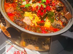 -师烤·豆花烤鱼(广州荔湾扬韬广场店)