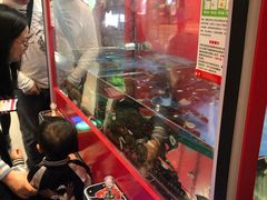 -超级物种·波龙工坊(国贸店)