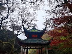 -岳麓山风景名胜区