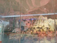 -帝企鹅自助餐厅•儿童岛•真企鹅(长隆企鹅酒店)