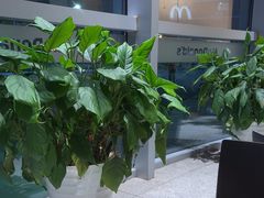 -麦当劳(北苑秋实路店)