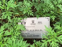 -广州神农草堂中医药博物馆