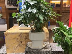 -黔蘑菇四季餐厅(观山湖店)