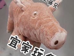 -宜家家居(哈尔滨商场店)