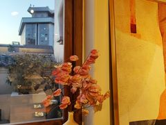 景观位-IFIF 如果花園(宽厚里店)