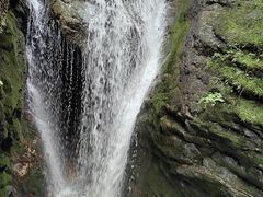 -牛背梁国家森林公园