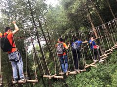 -梦幻奥陶纪景区