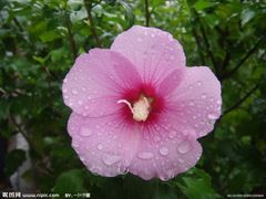 -仙海旅游度假区