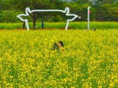 -光明小镇欢乐田园