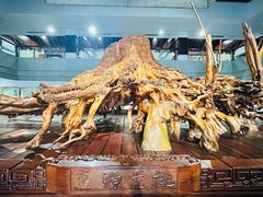 -常德桃花源景区