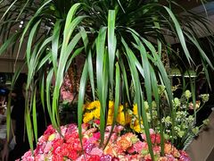 -春暖花开(西溪店)