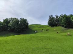 -新疆那拉提国家旅游度假区
