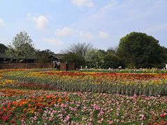 -保利石象湖景区