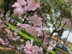 -江阴敔山湖公园