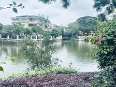 -顺峰山公园
