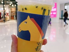 -春丽小马(济南恒隆广场店)