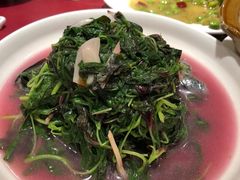 -老吉士酒家(天平路店)