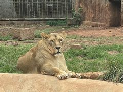 -昆明动物园