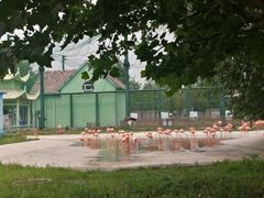 -秦皇岛野生动物园