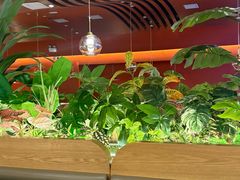 -鼎香缘海鲜自助火锅烤肉(锦辉购物广场店)
