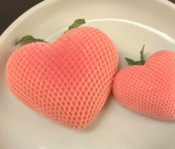 -星摇篮月子中心(市妇幼店)