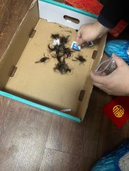 -龙文宝贝上门婴儿理发满月剃胎毛(闵行店)