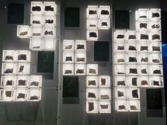 -广东中医药博物馆