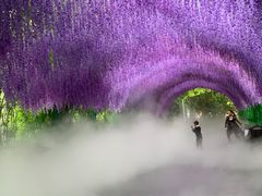 -常州淹城野生动物世界