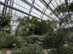 -南山植物园