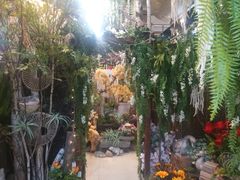 -双季花艺园艺市场(浦东店)