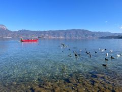 -丽江泸沽湖景区
