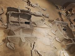 -洛阳周王城天子驾六博物馆