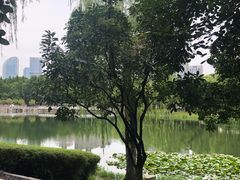 -后襄河公园