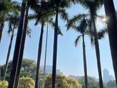 -东风公园
