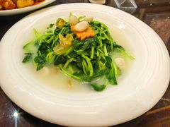 上汤鸡毛菜-西宁富力万达文华酒店·品珍中餐厅