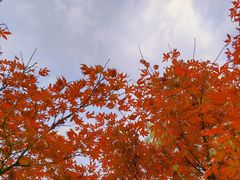 -西安浐灞国家湿地公园
