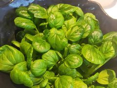 -东椰·海南椰子鸡火锅(朝阳门店)