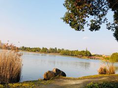 -美兰湖景区