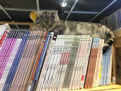 -小时光咖啡馆(开森度假森林店)