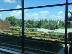 -太阳岛度假酒店