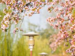 -海棠花溪(元大都城垣遗址公园)