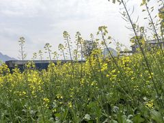 -宝晶宫旅游景区