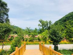 -参仙谷生态旅游度假区
