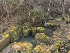 -五营红松林海景区