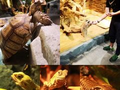 -昆明大悦城未来动物城(螺蛳湾中心店)