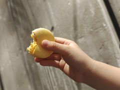 -Sunflour(来福士店)