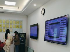 -北京观赏动物医院·24小时大型综合·猫专科·异宠专科